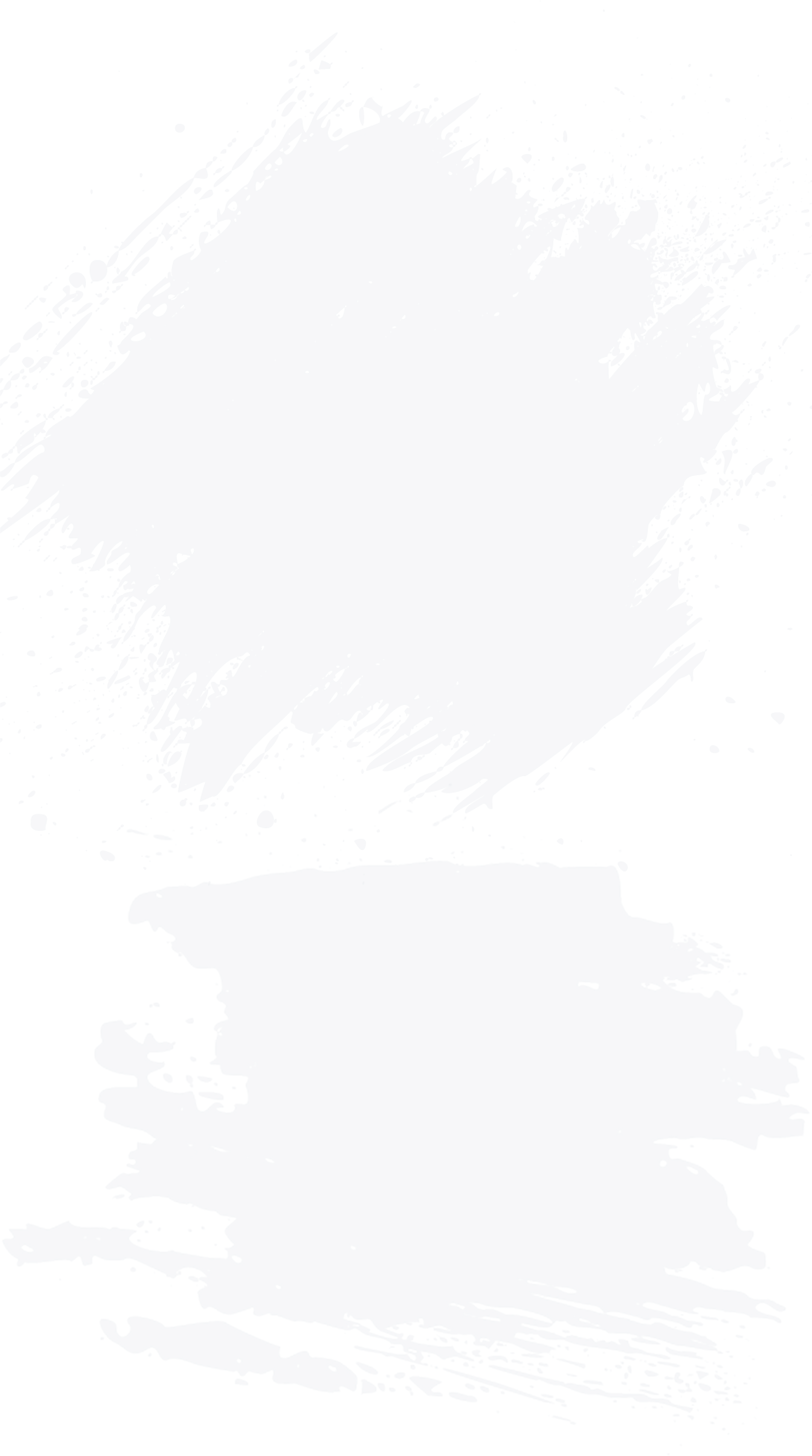 Fidility Shape